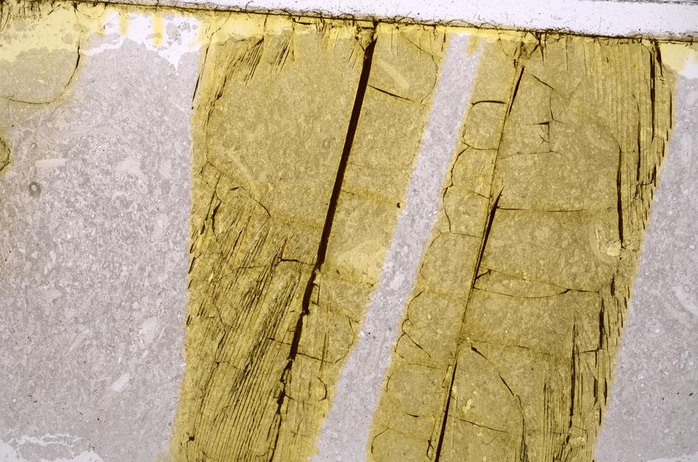 Plane Polarized, E40949
