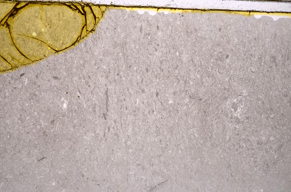 Plane Polarized, E40953