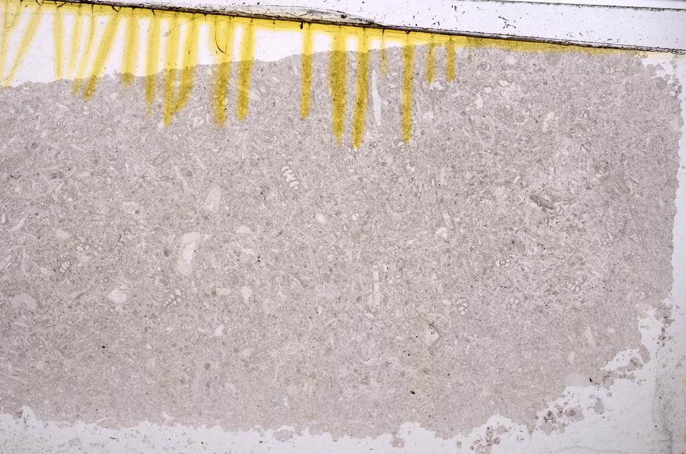 Plane Polarized, E40976