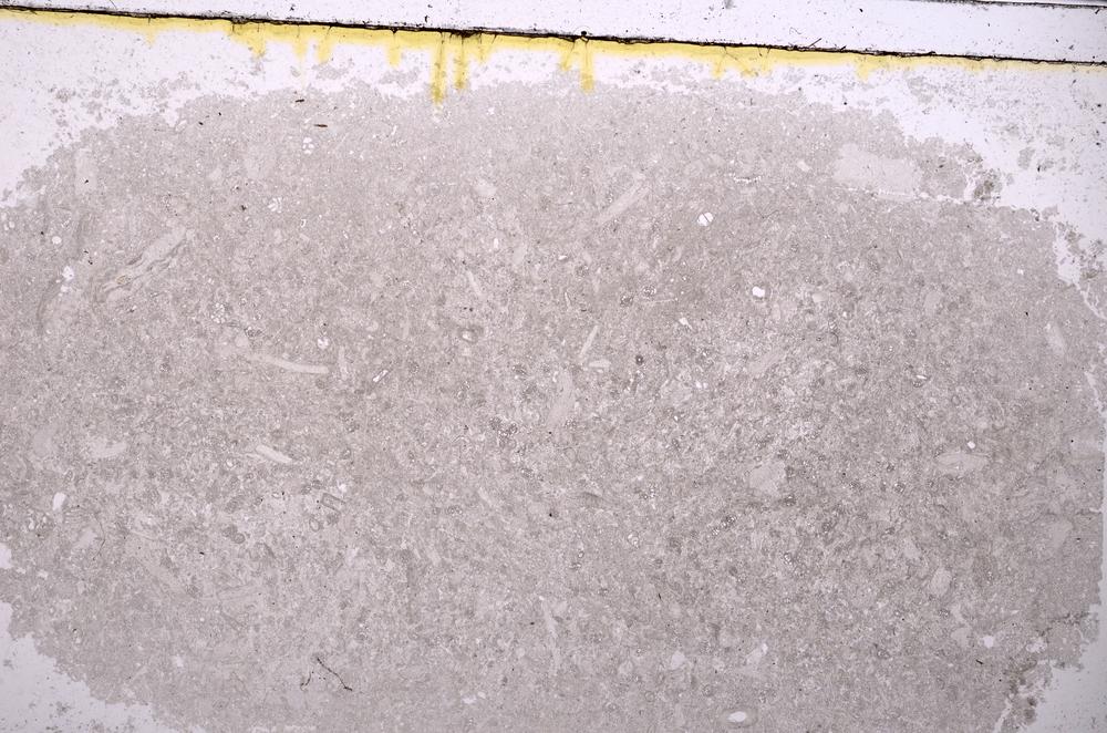 Plane Polarized, E40984