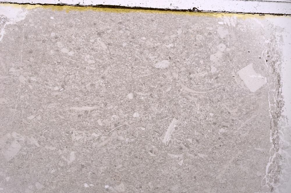 Plane Polarized, E40985