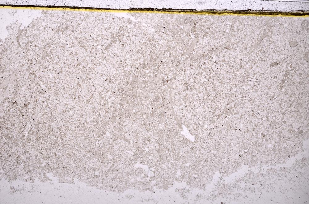 Plane Polarized, E41016