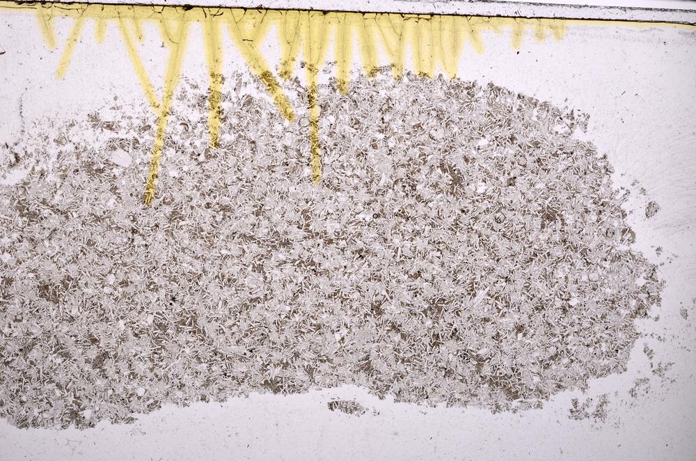 Plane Polarized, E41043