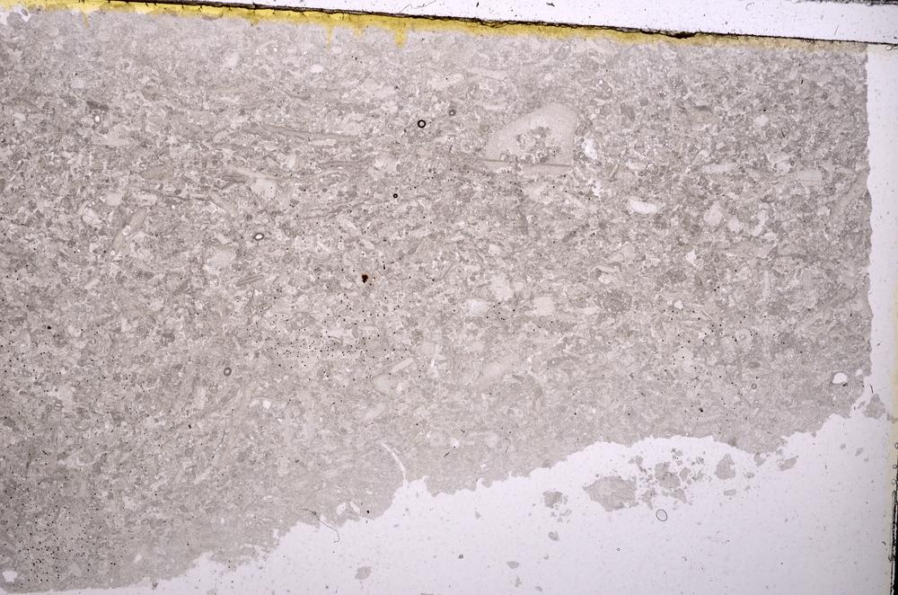 Plane Polarized, E41056