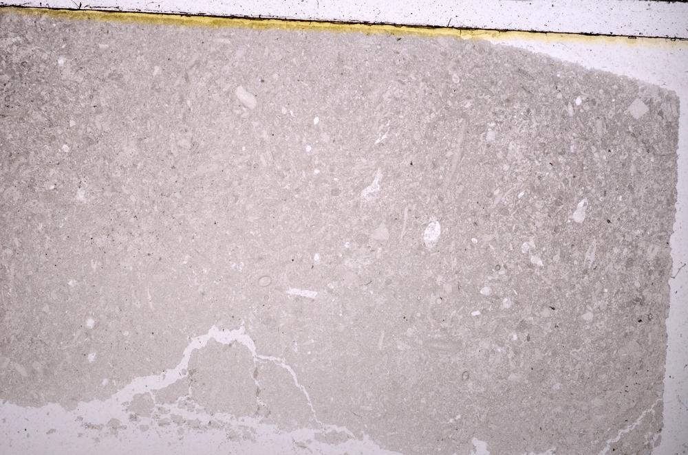 Plane Polarized, E41058