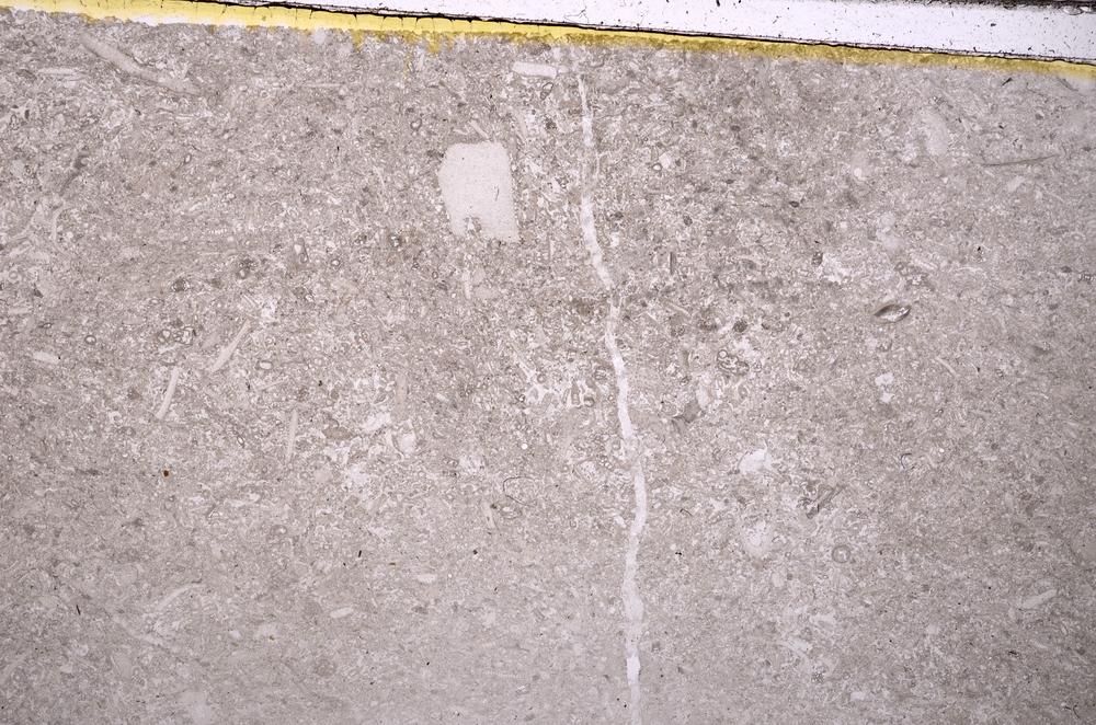Plane Polarized, E41058/A