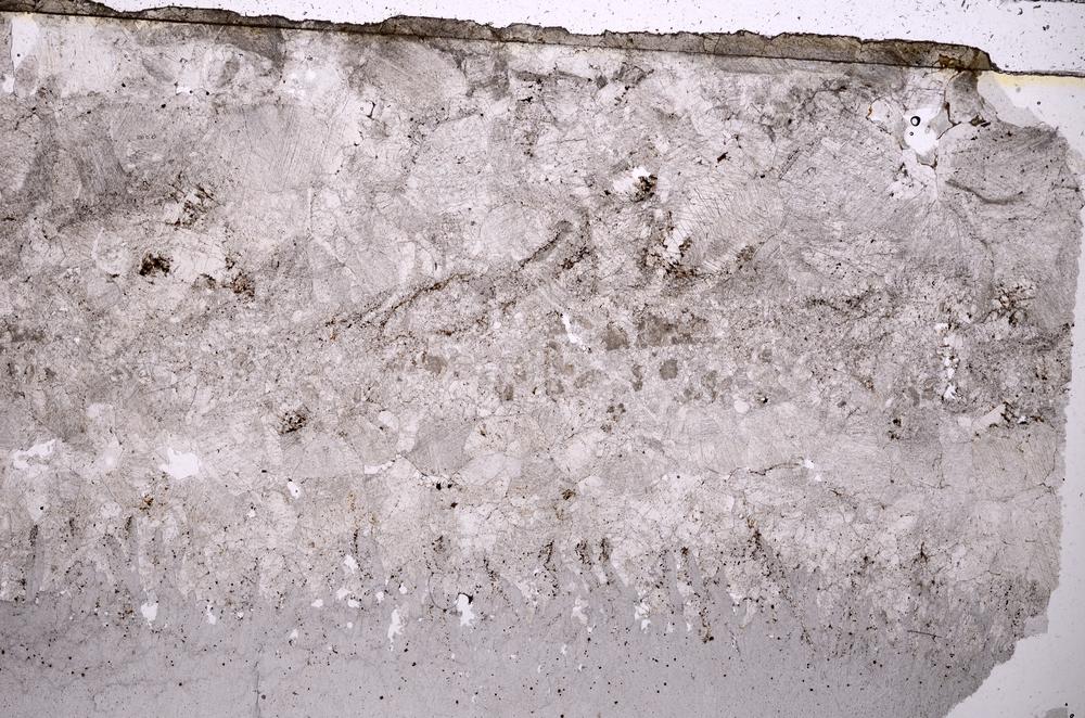 Plane Polarized, E41059