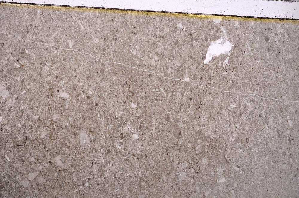Plane Polarized, E41060