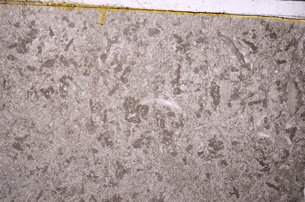 Plane Polarized, E41064