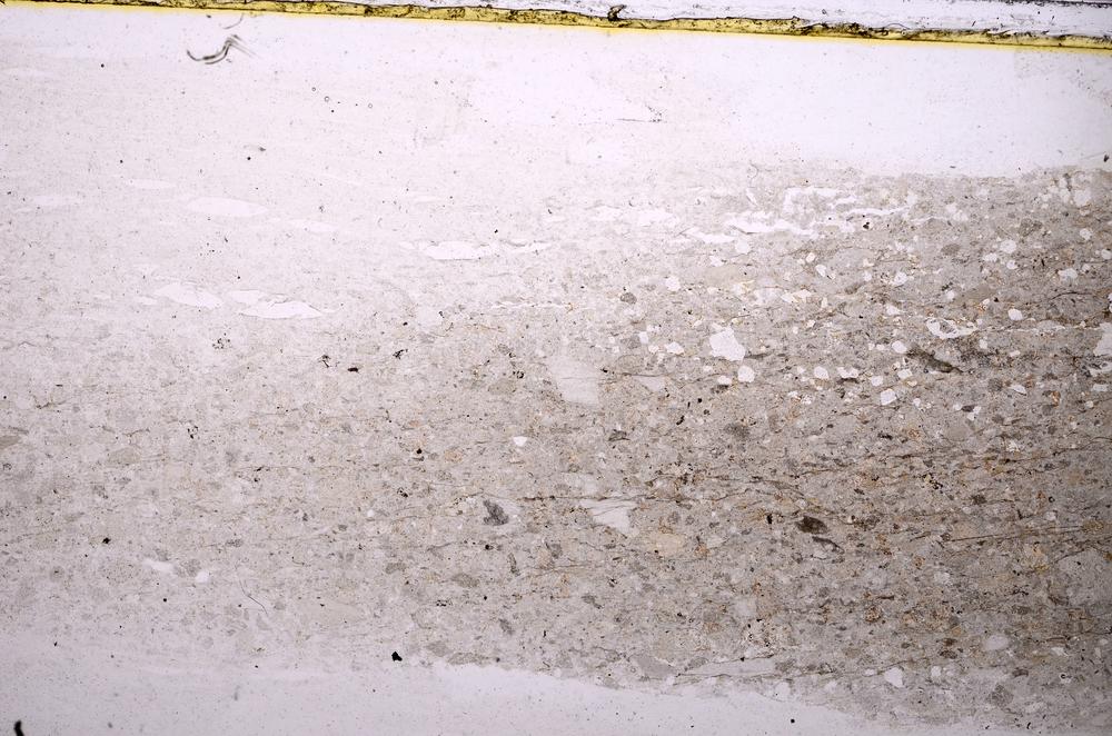 Plane Polarized, E41162