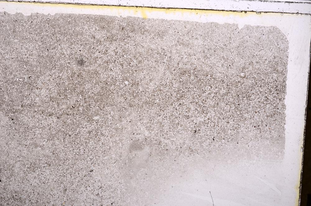 Plane Polarized, E41247