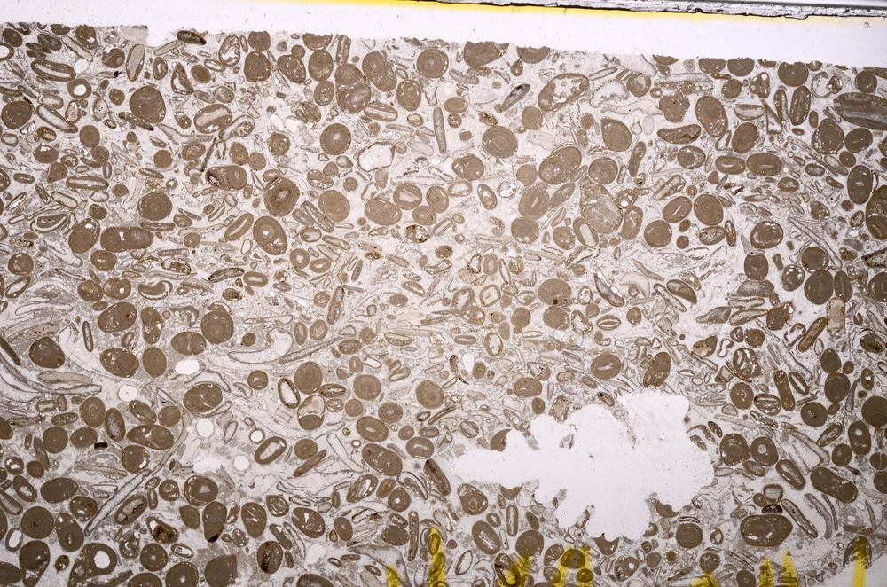 Plane Polarized, E41284