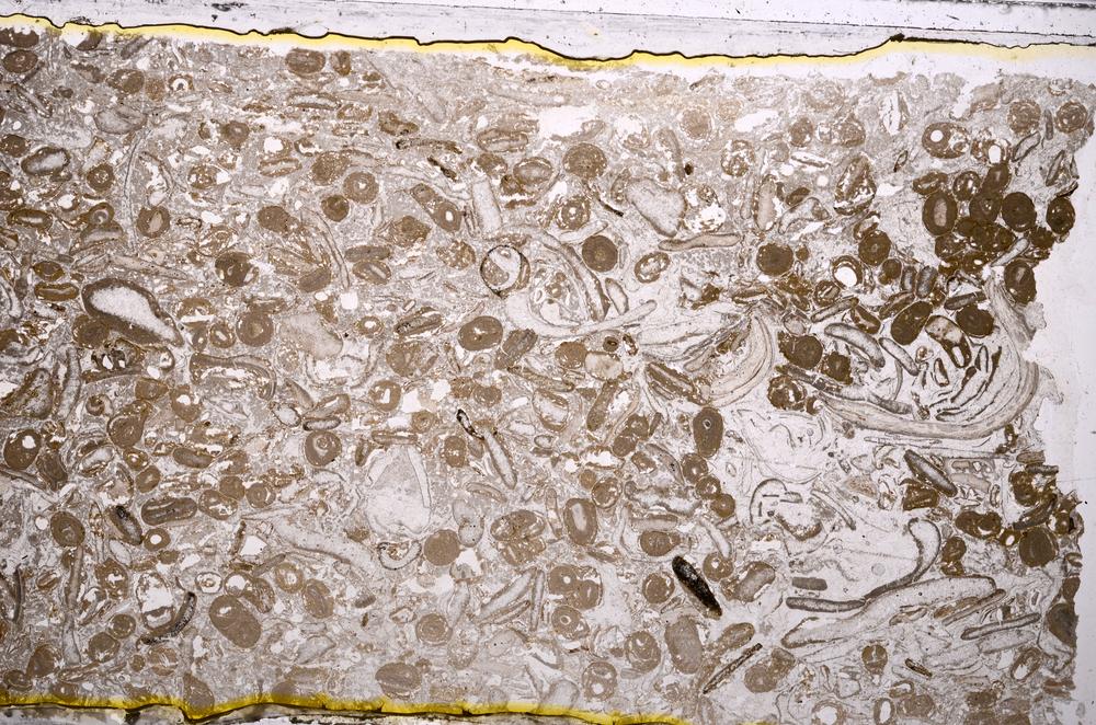 Plane Polarized, E41286