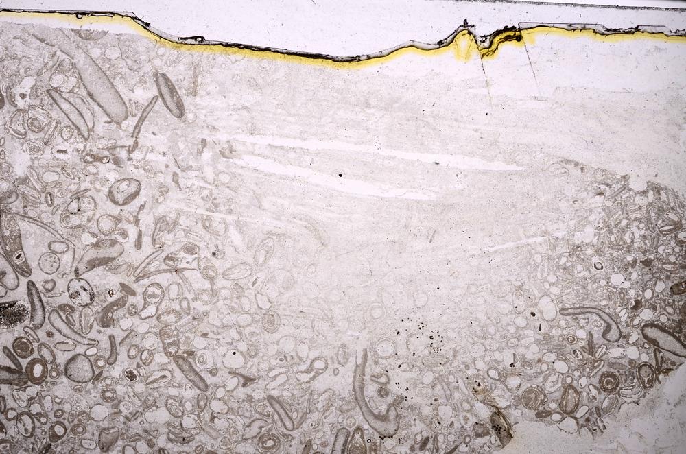 Plane Polarized, E41291