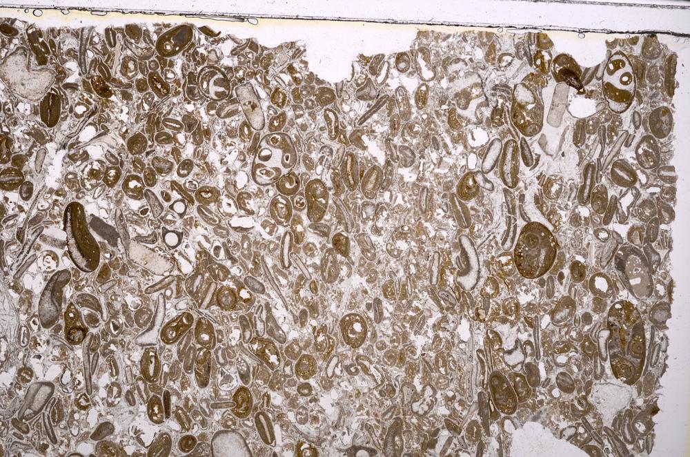 Plane Polarized, E41292