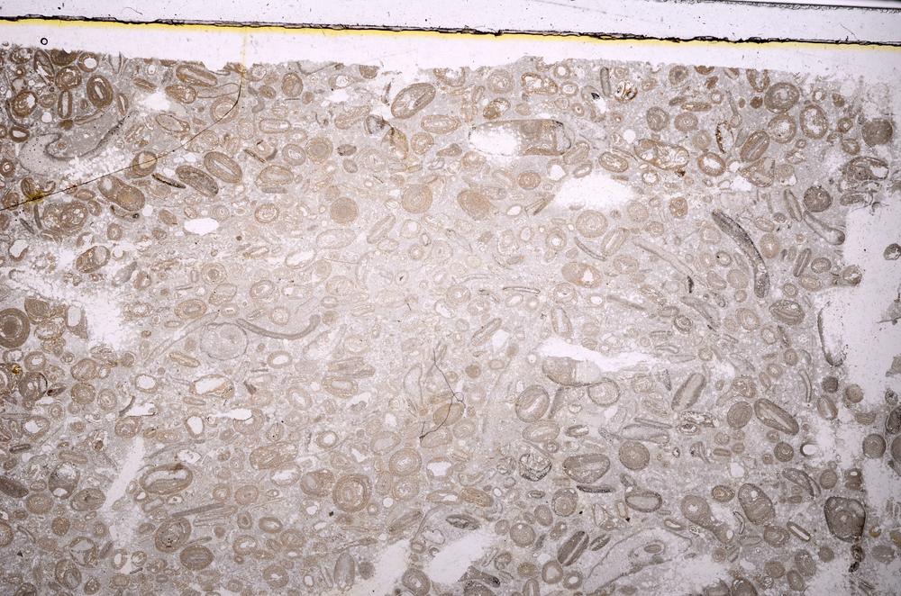 Plane Polarized, E41299