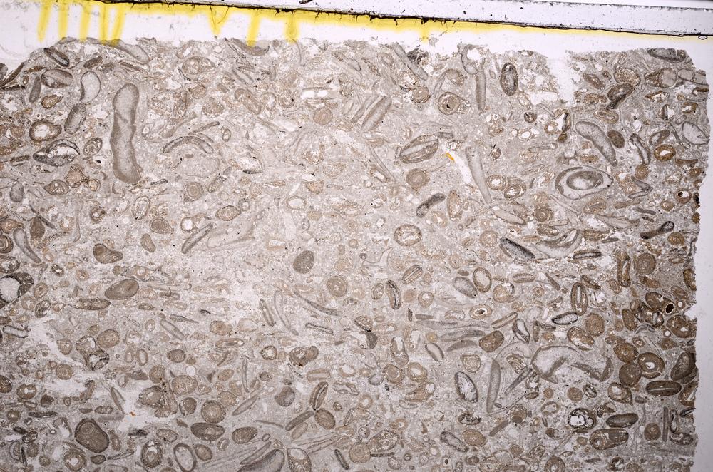 Plane Polarized, E41300