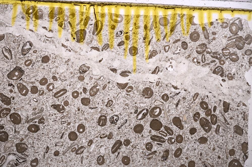 Plane Polarized, E41315