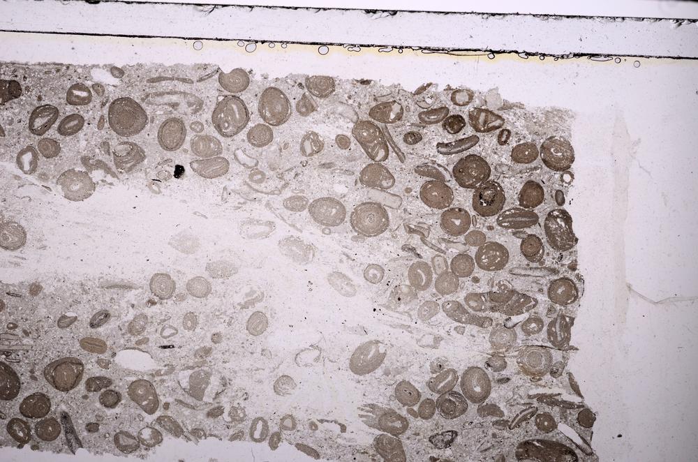 Plane Polarized, E41316