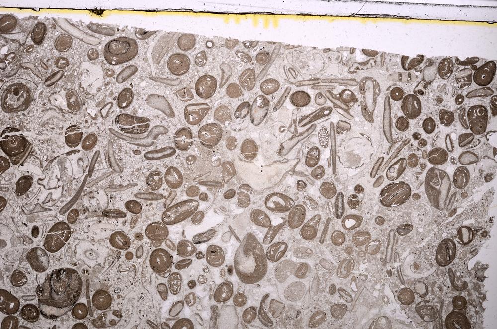 Plane Polarized, E41320