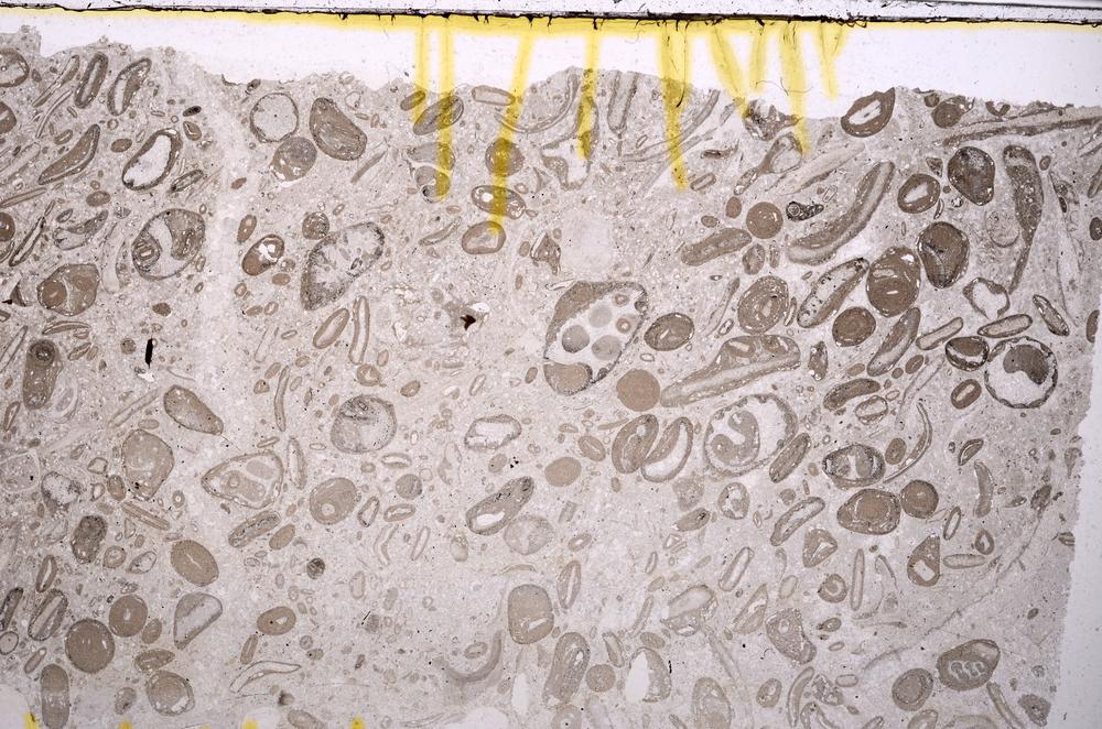 Plane Polarized, E41321