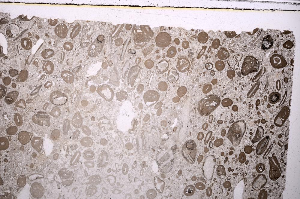 Plane Polarized, E41322