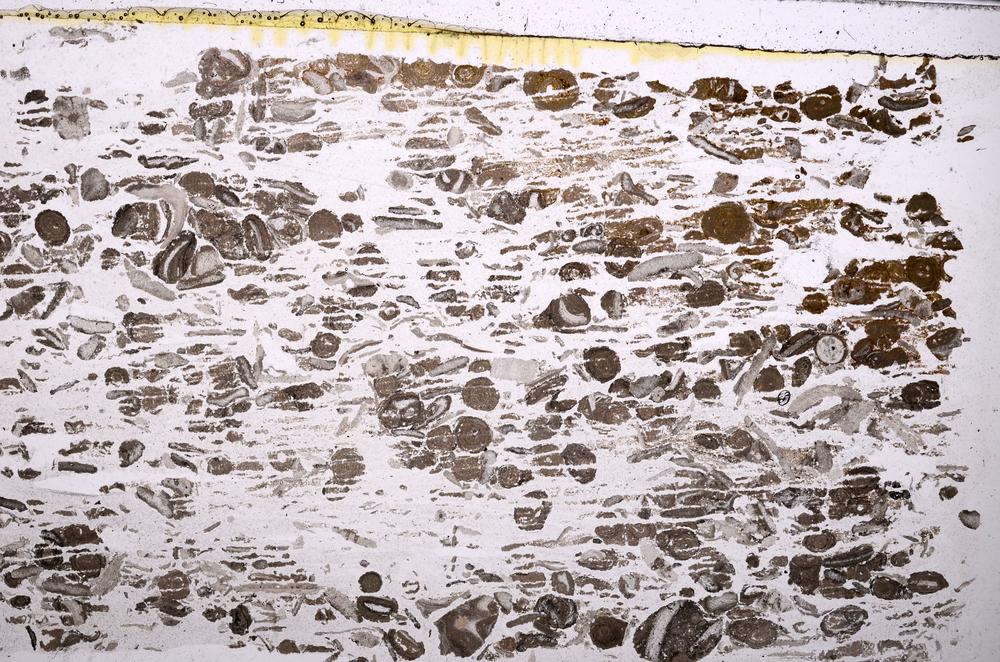 Plane Polarized, E41325