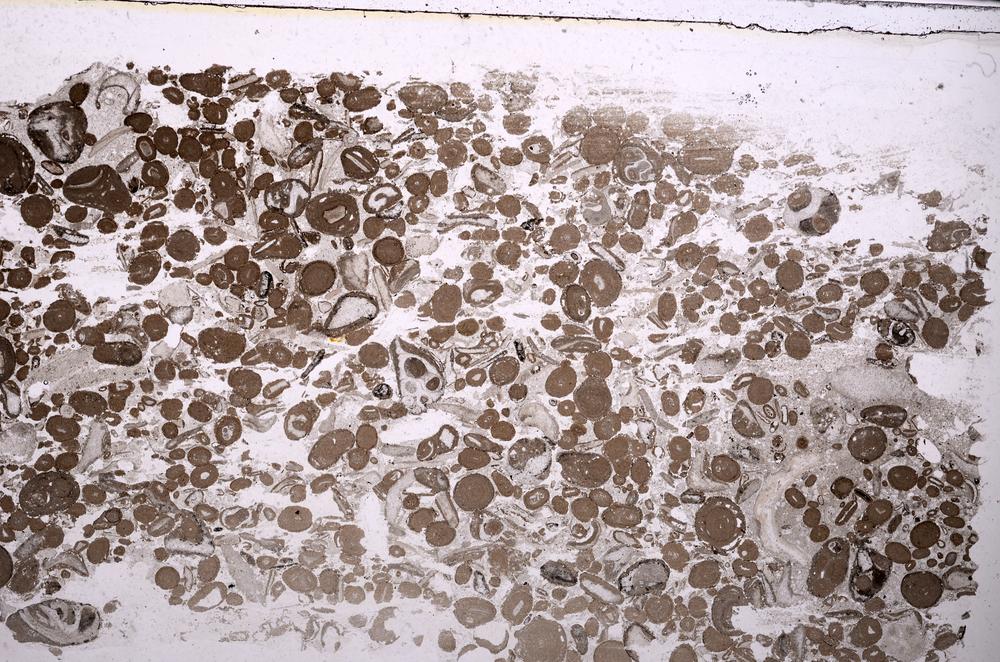 Plane Polarized, E41328