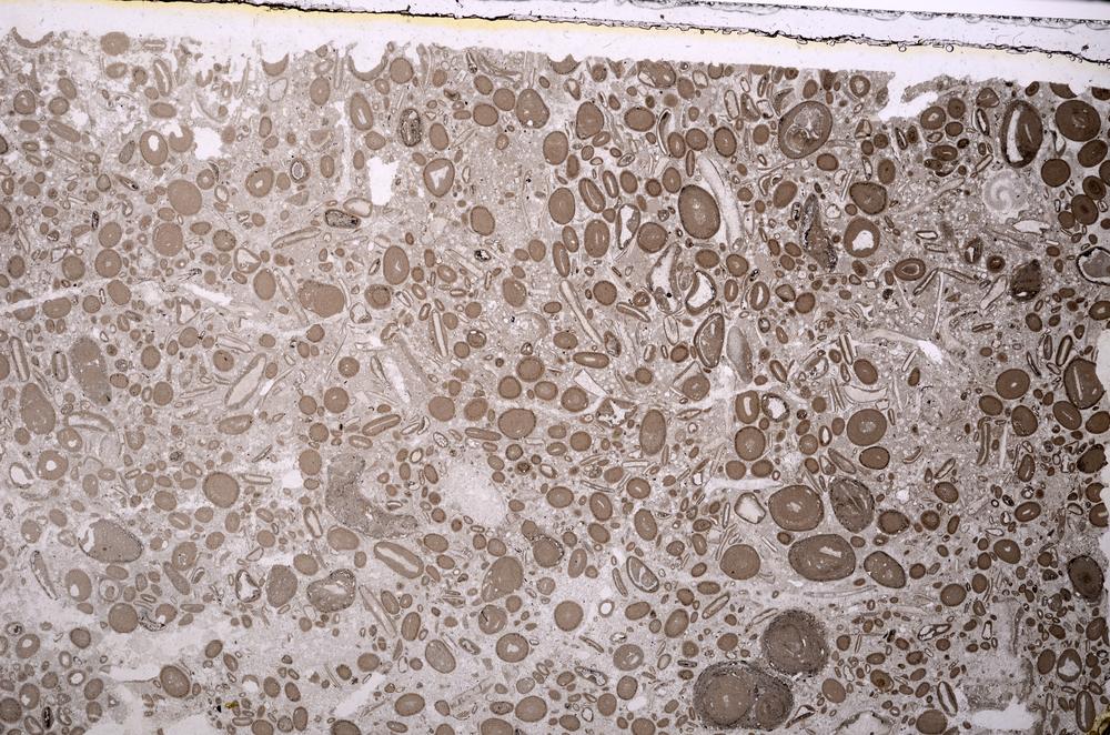 Plane Polarized, E41329