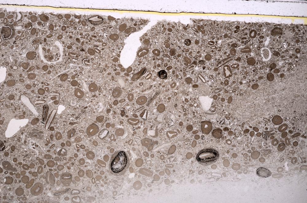 Plane Polarized, E41330