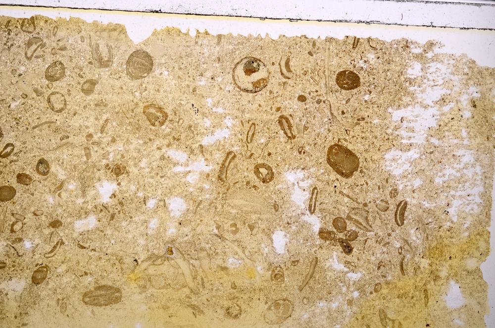 Plane Polarized, E41333