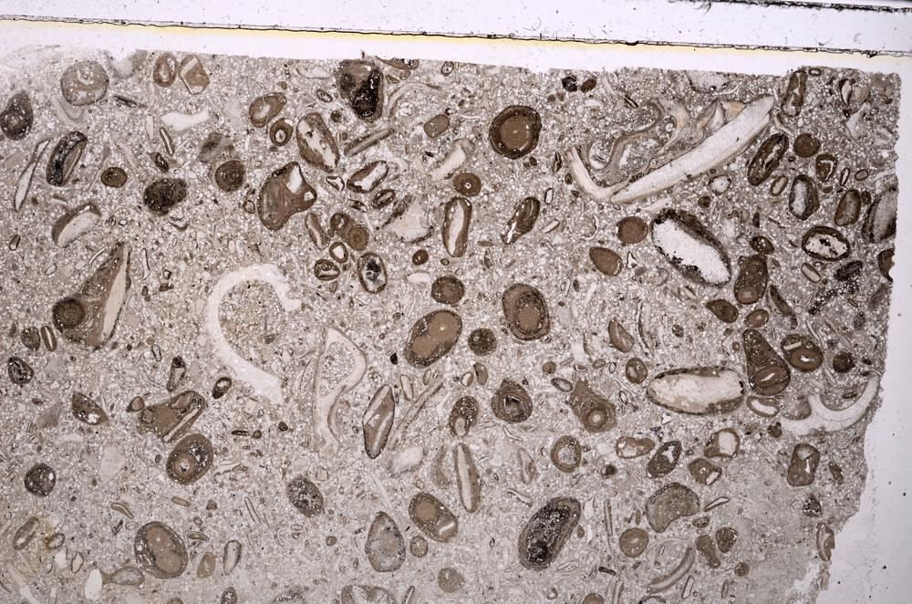 Plane Polarized, E41335