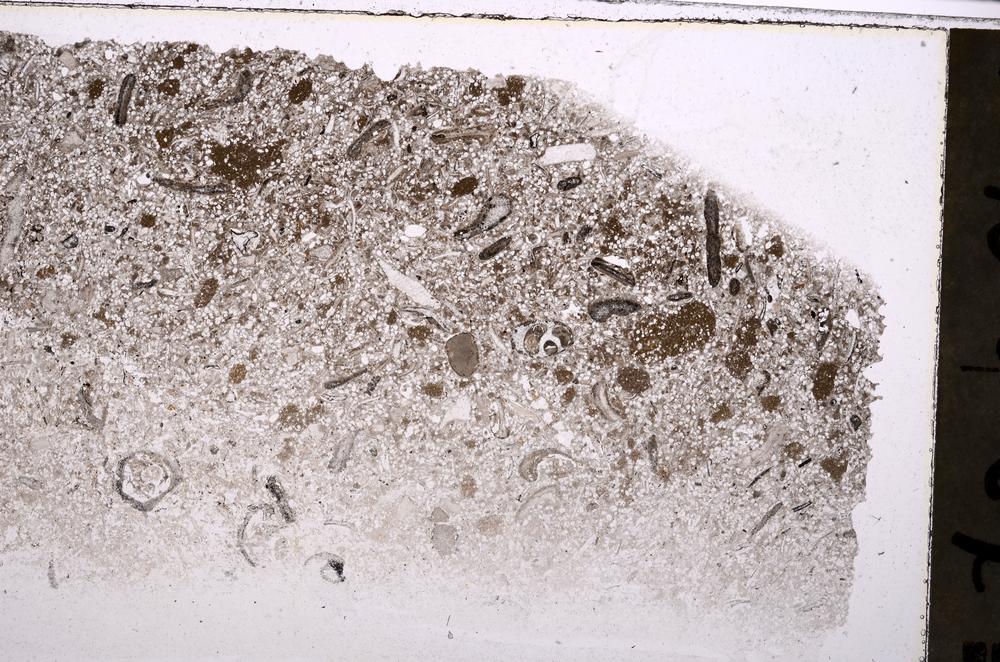 Plane Polarized, E41336
