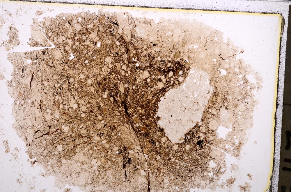 Plane Polarized, E41341