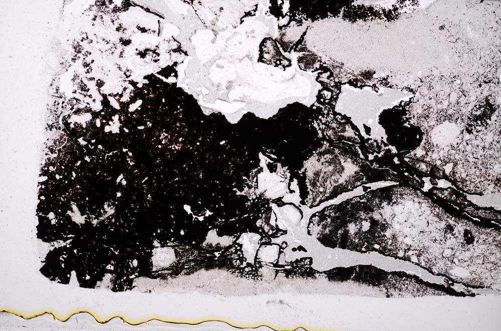 Plane Polarized, E41359