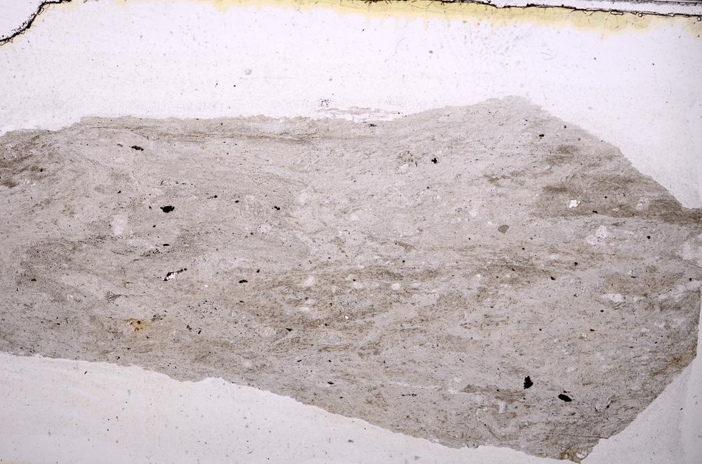 Plane Polarized, E41404