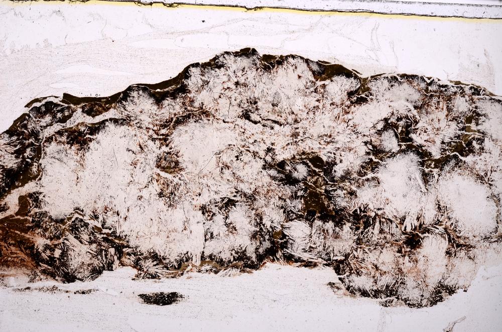 Plane Polarized, E41506