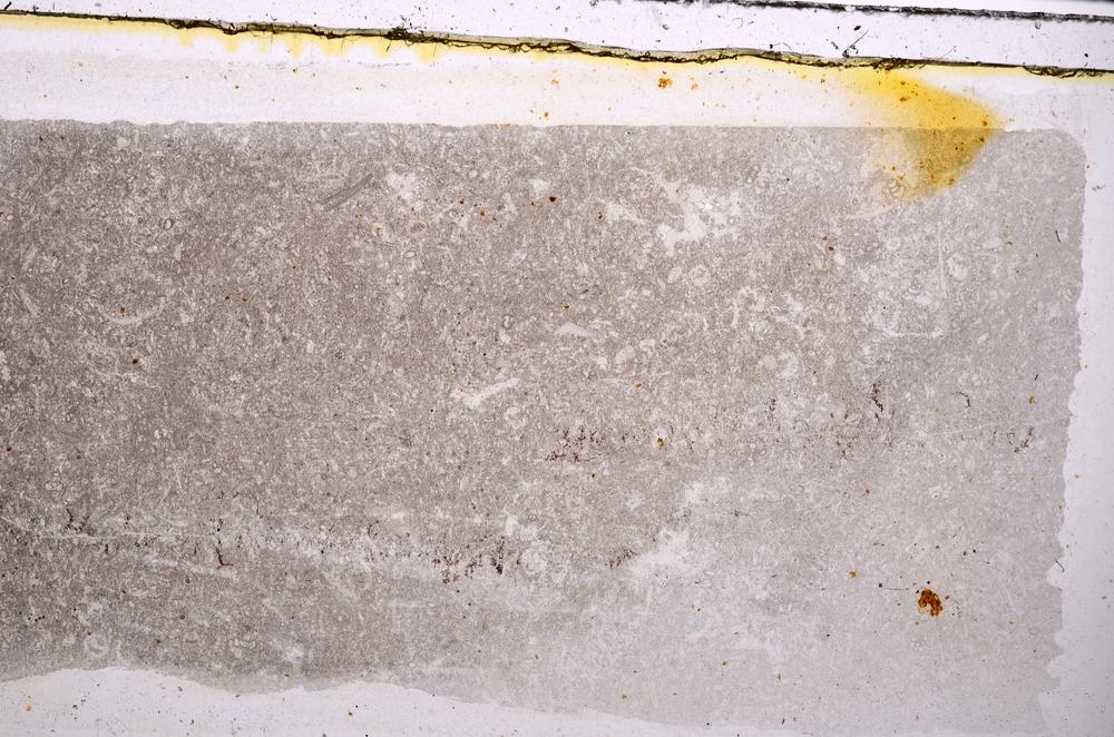 Plane Polarized, E41512