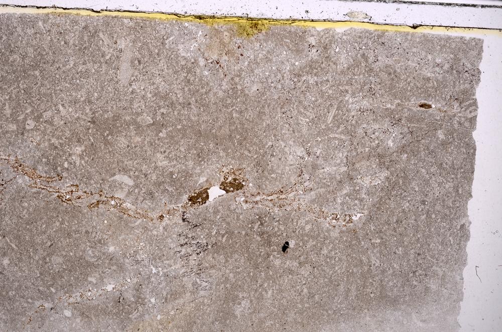 Plane Polarized, E41514