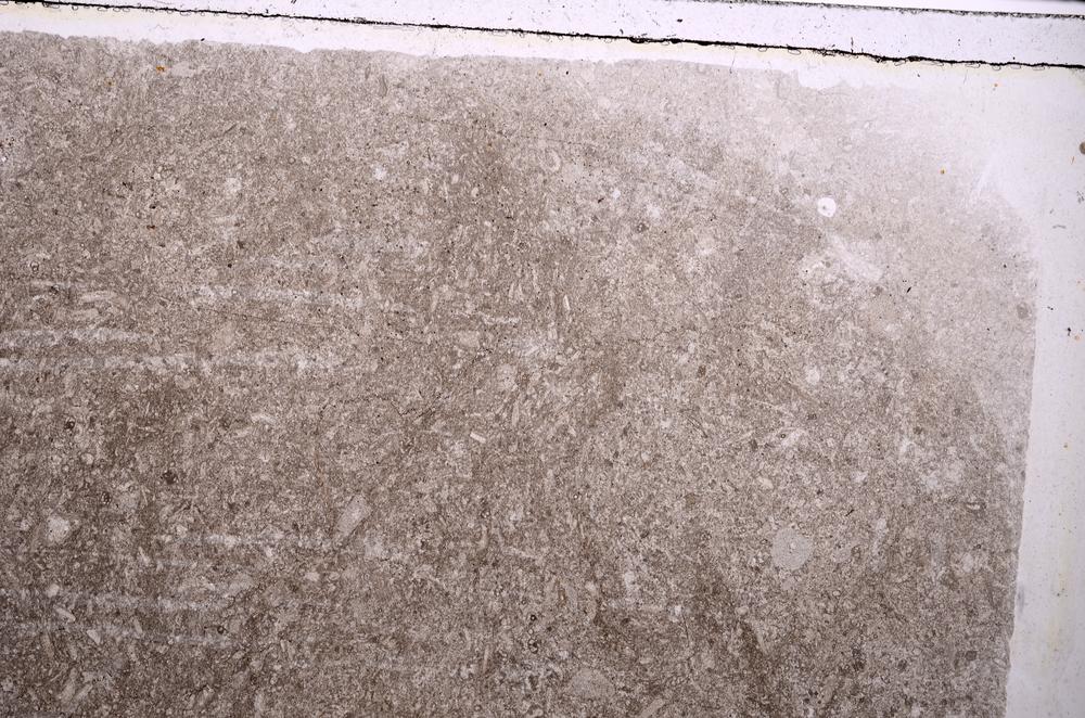 Plane Polarized, E41518