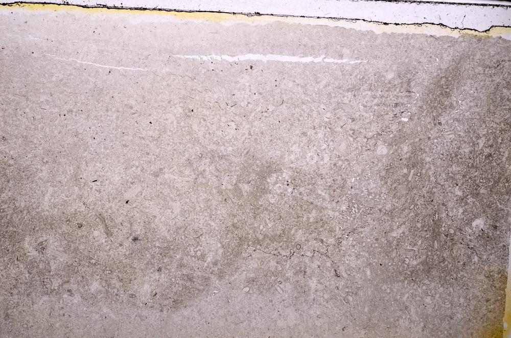 Plane Polarized, E41519