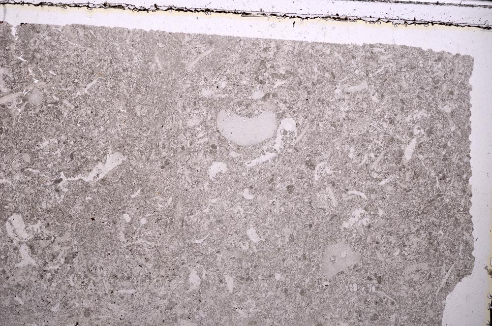 Plane Polarized, E41521