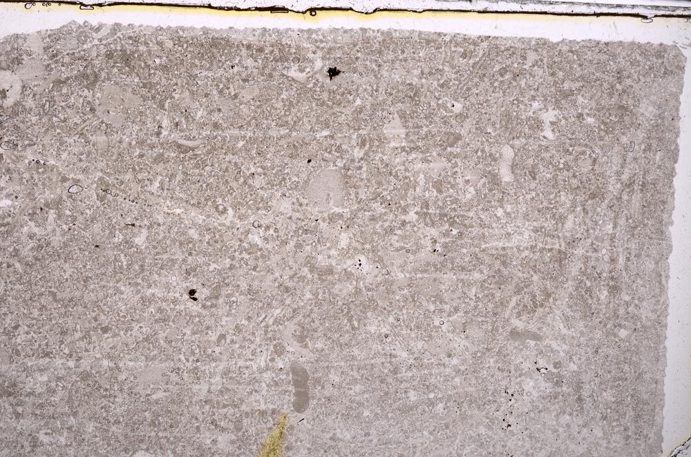 Plane Polarized, E41522