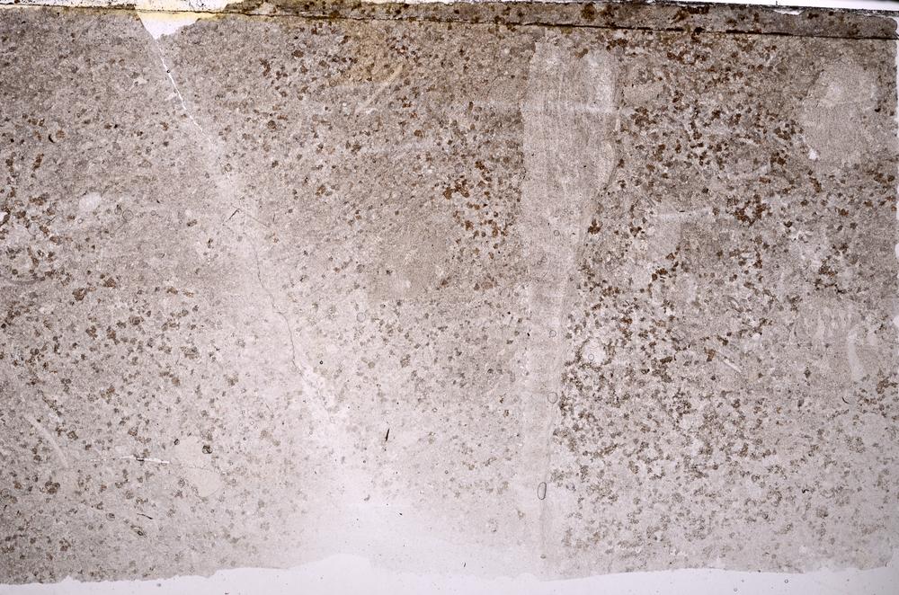 Plane Polarized, E41530