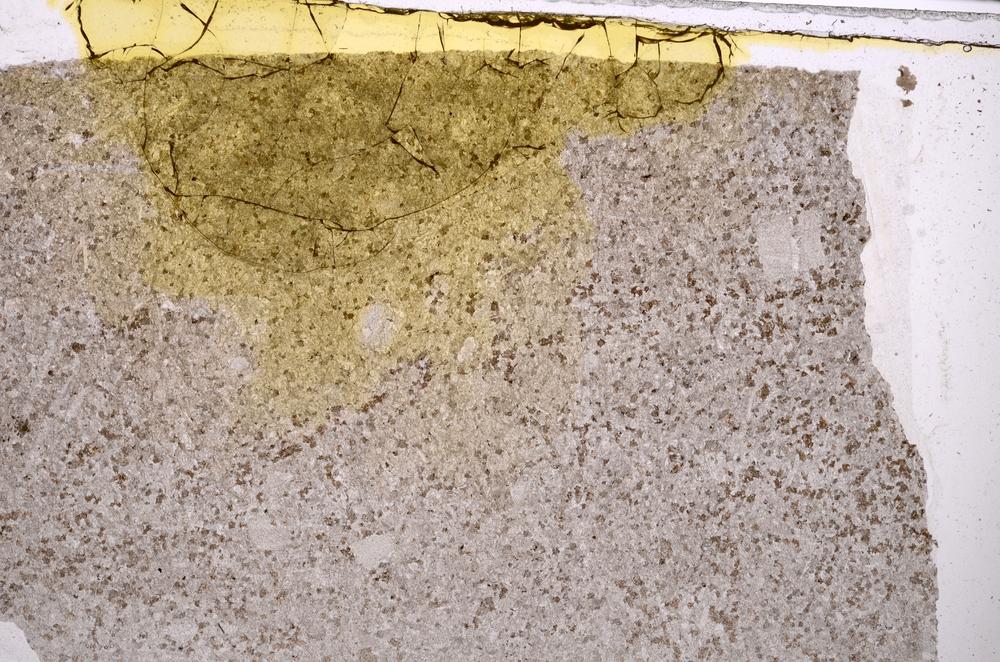 Plane Polarized, E41531