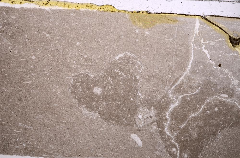 Plane Polarized, E41538