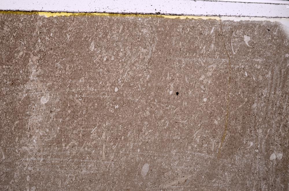Plane Polarized, E41540