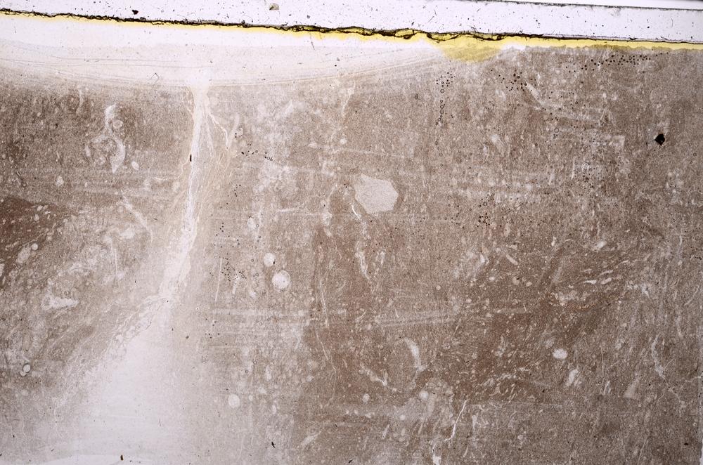 Plane Polarized, E41542