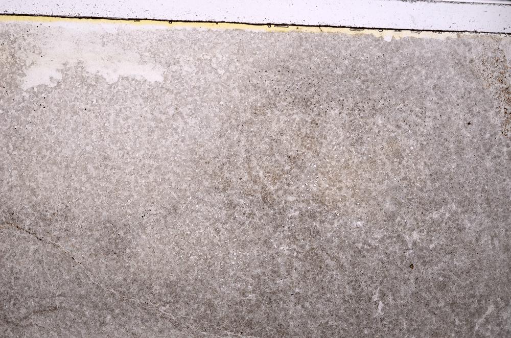Plane Polarized, E41544