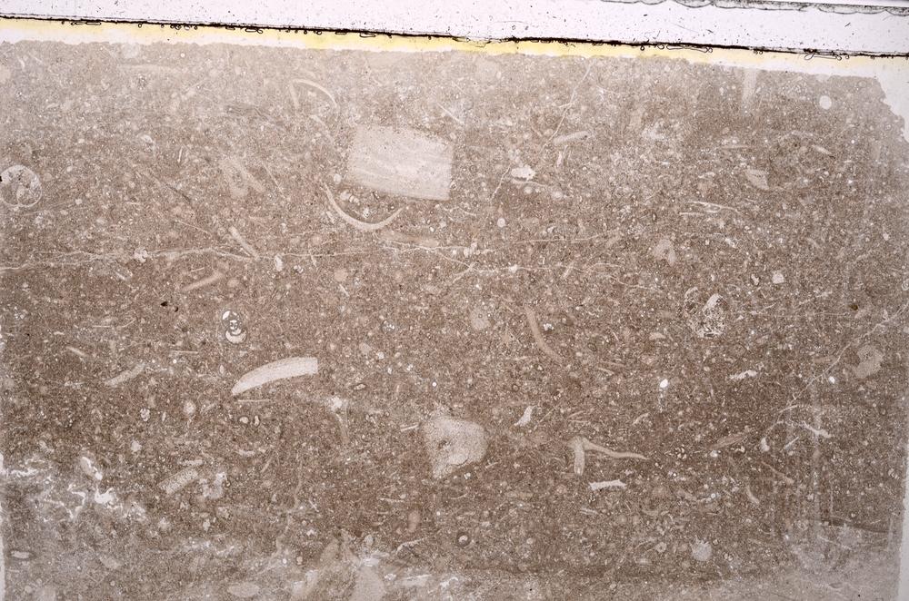 Plane Polarized, E41557